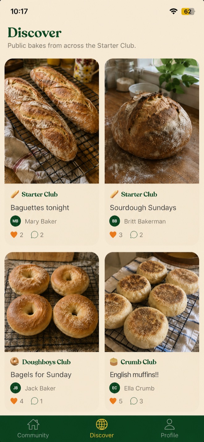 Discover — public bakes from across the Starter Club